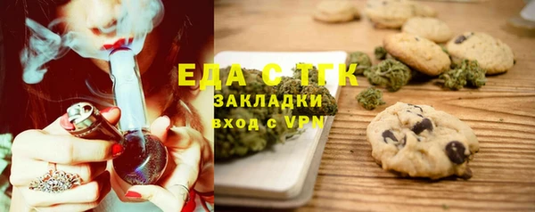 индика Алексин