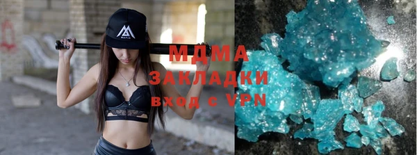индика Алексин