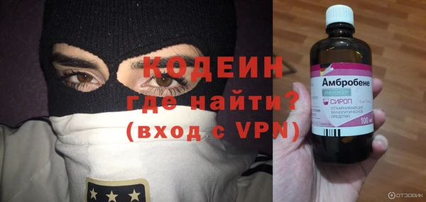 индика Алексин