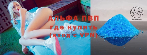 индика Алексин