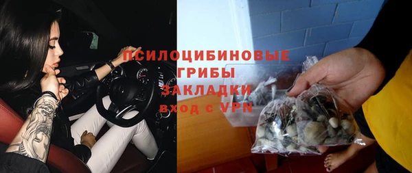 ГАЛЛЮЦИНОГЕННЫЕ ГРИБЫ Алзамай