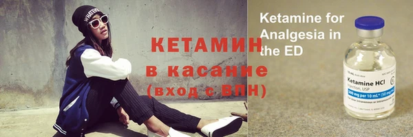 индика Алексин