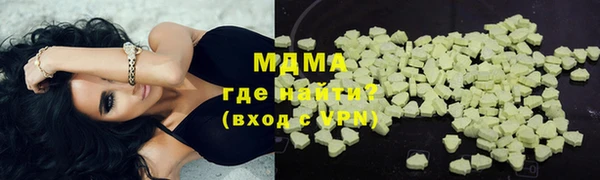 индика Алексин