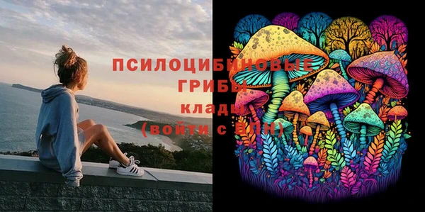 меф Алексеевка
