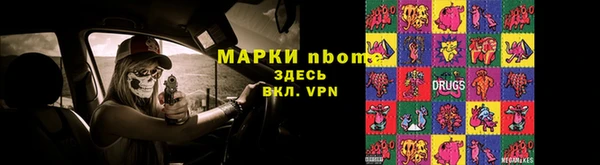 индика Алексин
