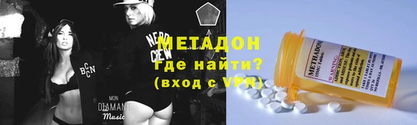 индика Алексин