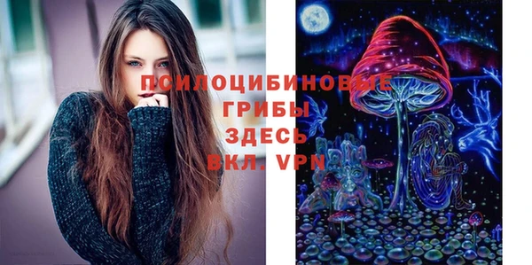 ГАЛЛЮЦИНОГЕННЫЕ ГРИБЫ Алзамай