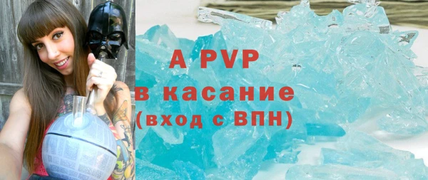 индика Алексин