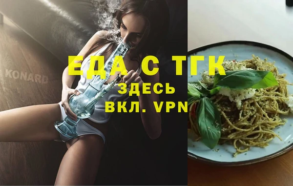 индика Алексин