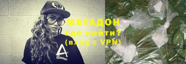 индика Алексин