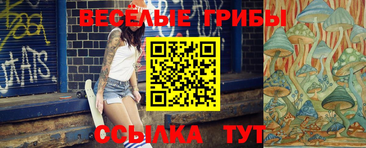 Псилоцибиновые грибы Psilocybine cubensis Красноярск