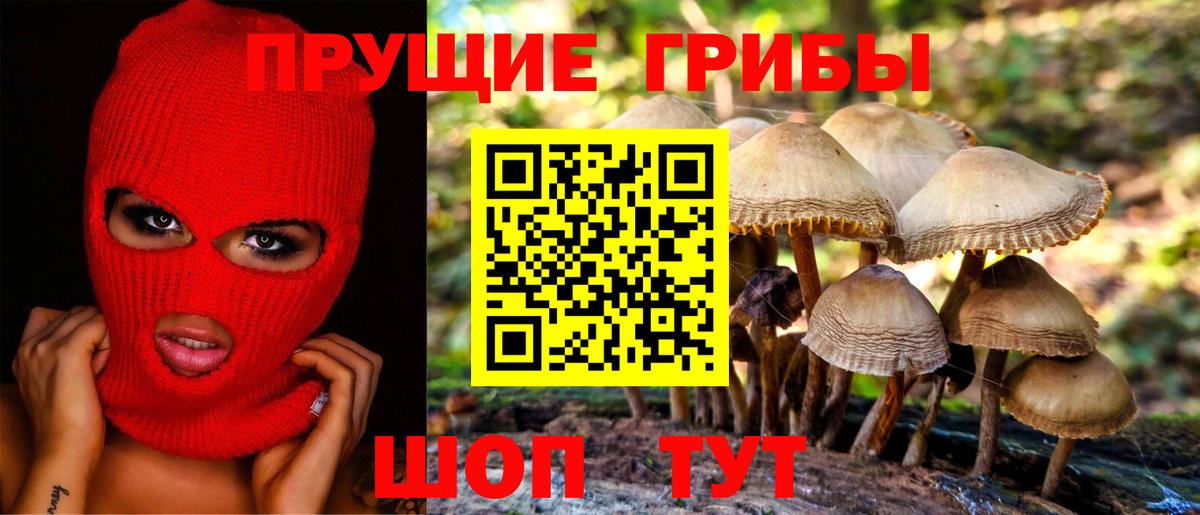 Галлюциногенные грибы Magic Shrooms  Вход с VPN  Красноярск 